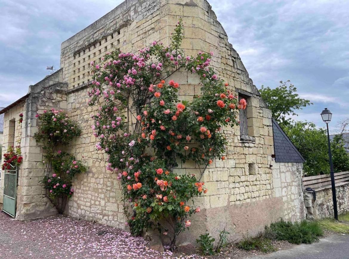 Le Colombier Apartamento Le Coudray-Macouard Exterior foto